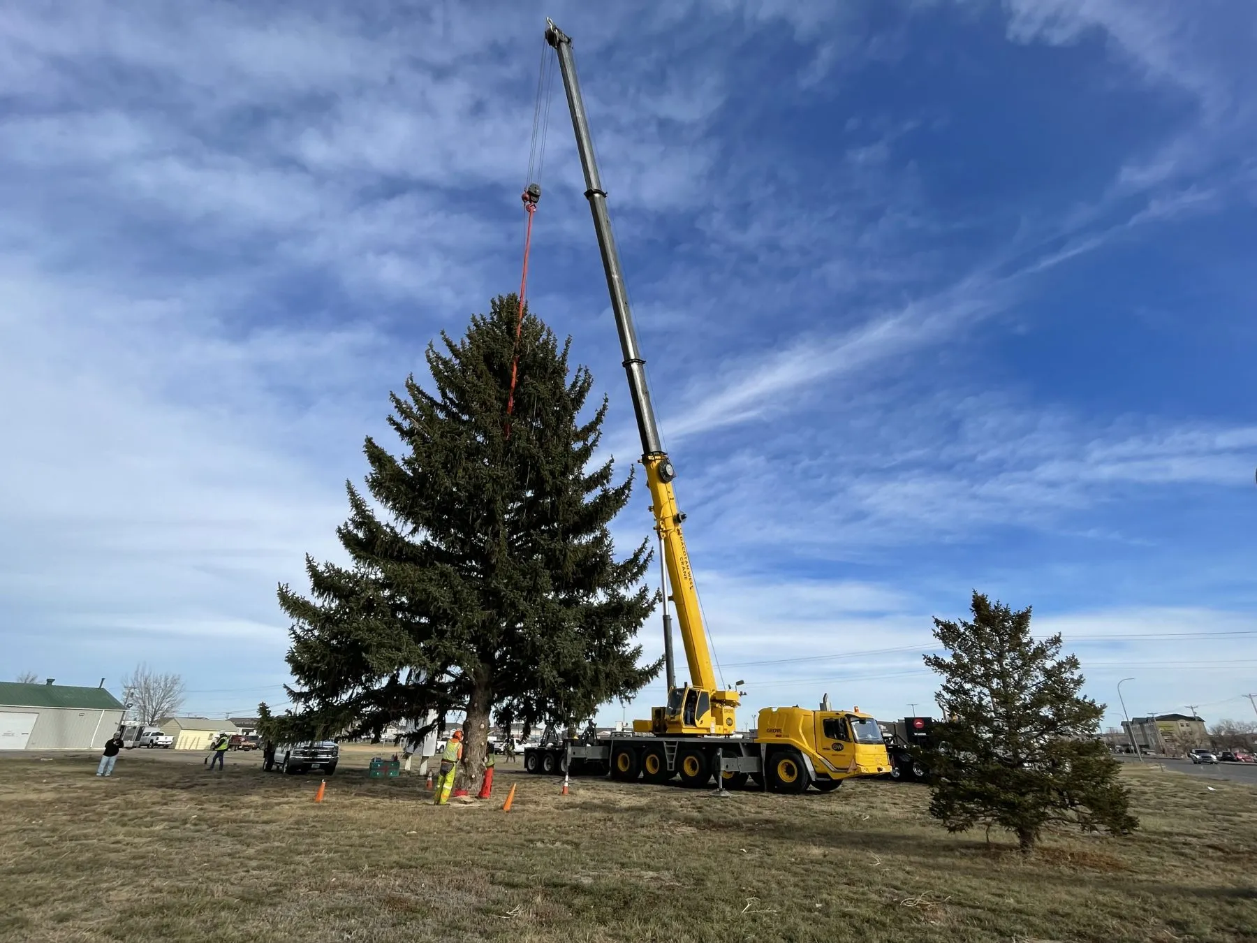 A Dacotah West crane lifting a large spruce tree during a community job